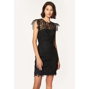 Nwt Milly Leila Floral Lace Illusion Dress Size 4